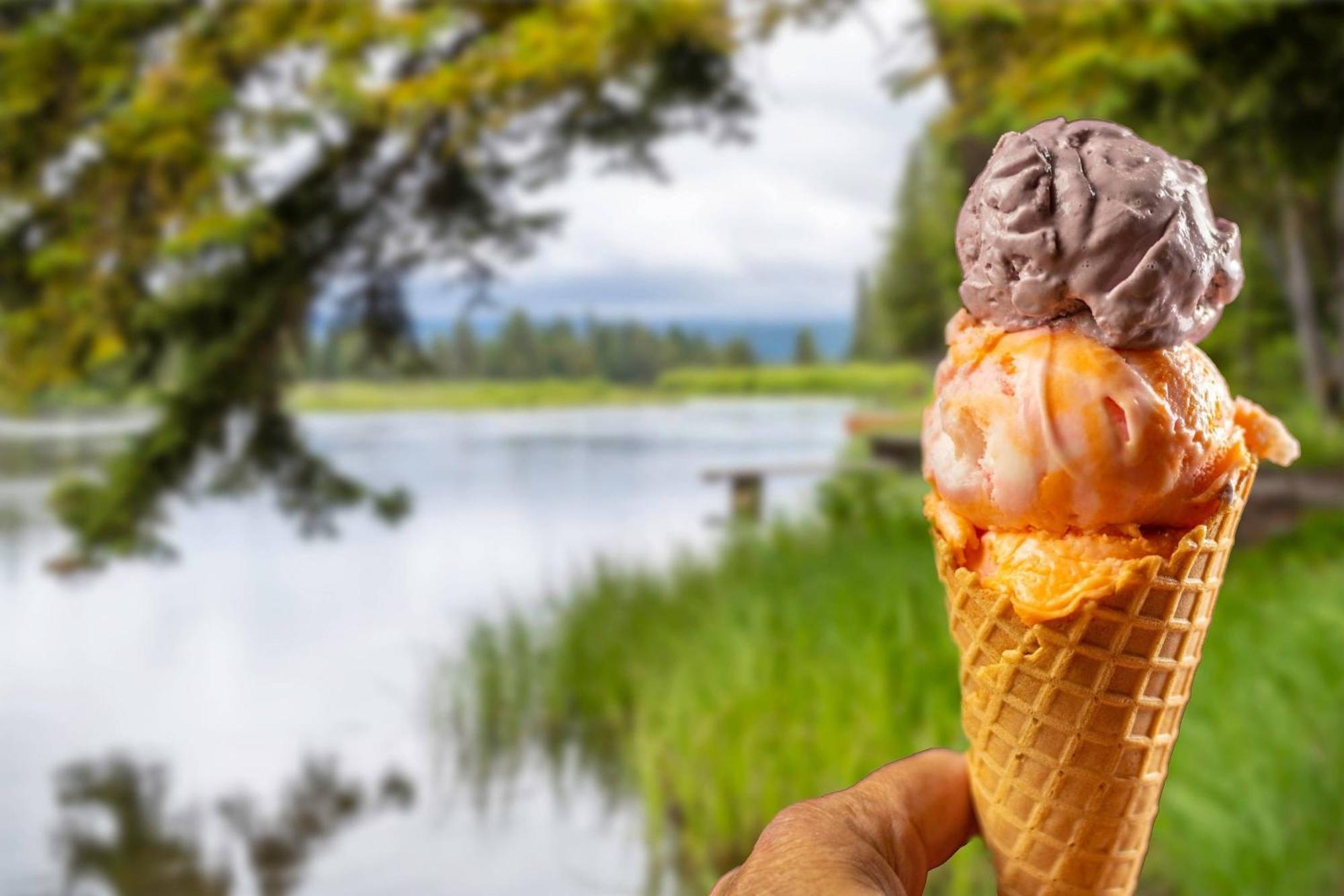Springhill Suites Island Park Yellowstone Exteriér fotografie